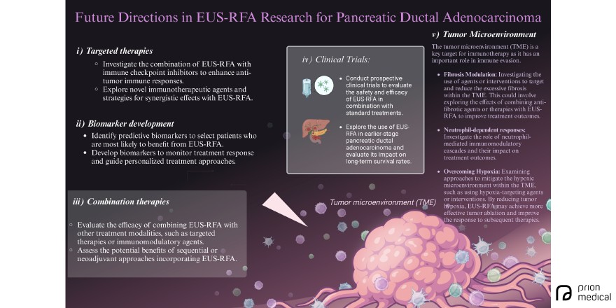 Harnessing endoscopic ultrasound-guided radiofrequency ablation to reshape the pancreatic ductal adenocarcinoma microenvironment and elicit systemic immunomodulation